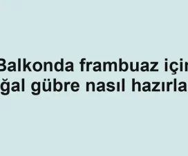 Balkonda frambuaz için doğal gübre nasıl hazırlanır
