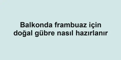Balkonda frambuaz için doğal gübre nasıl hazırlanır