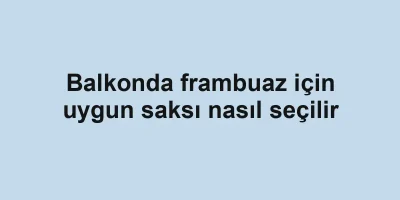 Balkonda frambuaz için uygun saksı nasıl seçilir