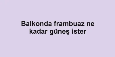 Balkonda frambuaz ne kadar güneş ister