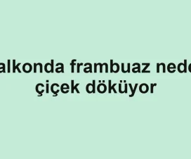 Balkonda frambuaz neden çiçek döküyor