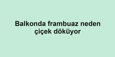 Balkonda frambuaz neden çiçek döküyor