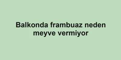 Balkonda frambuaz neden meyve vermiyor