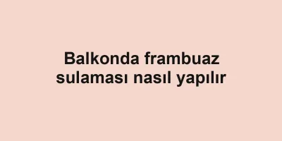 Balkonda frambuaz sulaması nasıl yapılır