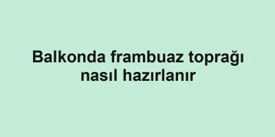 Balkonda frambuaz toprağı nasıl hazırlanır