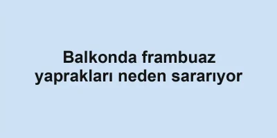 Balkonda frambuaz yaprakları neden sararıyor
