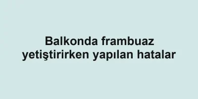 Balkonda frambuaz yetiştirirken yapılan hatalar