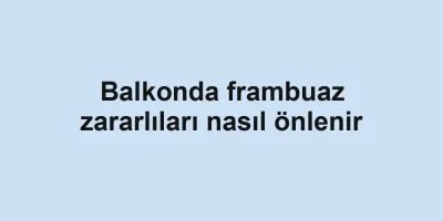 Balkonda frambuaz zararlıları nasıl önlenir