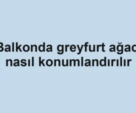 Balkonda greyfurt ağacı nasıl konumlandırılır