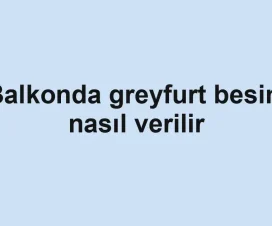 Balkonda greyfurt besini nasıl verilir