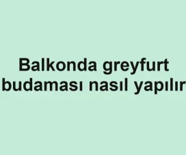 Balkonda greyfurt budaması nasıl yapılır