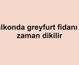 Balkonda greyfurt fidanı ne zaman dikilir