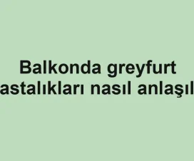 Balkonda greyfurt hastalıkları nasıl anlaşılır
