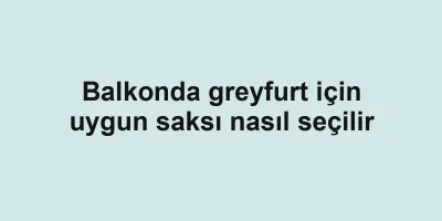 Balkonda greyfurt için uygun saksı nasıl seçilir