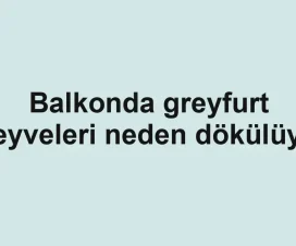 Balkonda greyfurt meyveleri neden dökülüyor
