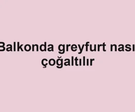 Balkonda greyfurt nasıl çoğaltılır