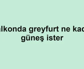 Balkonda greyfurt ne kadar güneş ister