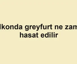 Balkonda greyfurt ne zaman hasat edilir