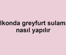 Balkonda greyfurt sulaması nasıl yapılır
