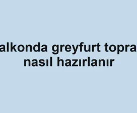 Balkonda greyfurt toprağı nasıl hazırlanır