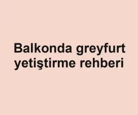 Balkonda greyfurt yetiştirme rehberi