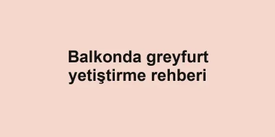 Balkonda greyfurt yetiştirme rehberi