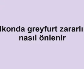 Balkonda greyfurt zararlıları nasıl önlenir