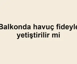 Balkonda havuç fideyle yetiştirilir mi