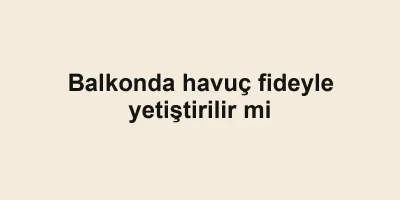 Balkonda havuç fideyle yetiştirilir mi