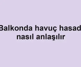 Balkonda havuç hasadı nasıl anlaşılır