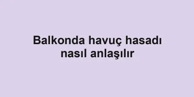Balkonda havuç hasadı nasıl anlaşılır
