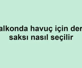 Balkonda havuç için derin saksı nasıl seçilir