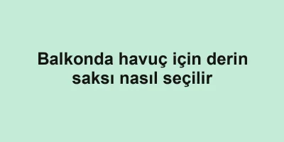 Balkonda havuç için derin saksı nasıl seçilir
