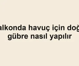 Balkonda havuç için doğal gübre nasıl yapılır