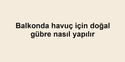 Balkonda havuç için doğal gübre nasıl yapılır