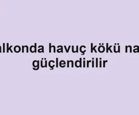 Balkonda havuç kökü nasıl güçlendirilir