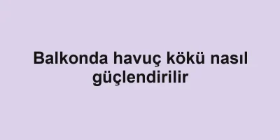 Balkonda havuç kökü nasıl güçlendirilir