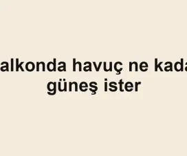 Balkonda havuç ne kadar güneş ister