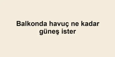 Balkonda havuç ne kadar güneş ister