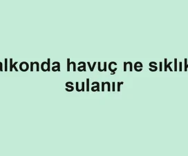 Balkonda havuç ne sıklıkla sulanır