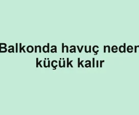 Balkonda havuç neden küçük kalır