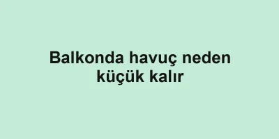 Balkonda havuç neden küçük kalır