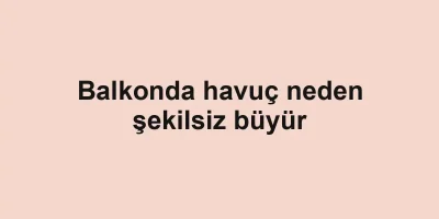 Balkonda havuç neden şekilsiz büyür