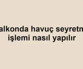 Balkonda havuç seyretme işlemi nasıl yapılır
