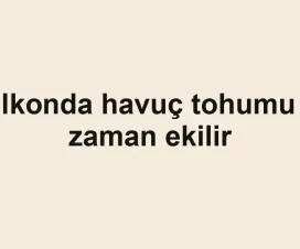 Balkonda havuç tohumu ne zaman ekilir