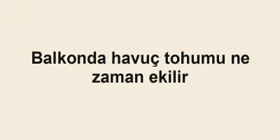 Balkonda havuç tohumu ne zaman ekilir