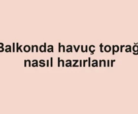 Balkonda havuç toprağı nasıl hazırlanır