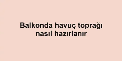 Balkonda havuç toprağı nasıl hazırlanır