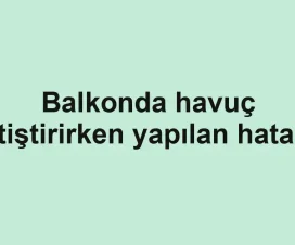 Balkonda havuç yetiştirirken yapılan hatalar