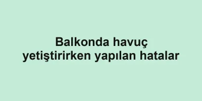 Balkonda havuç yetiştirirken yapılan hatalar